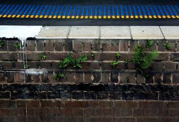 ����ͨ�齫���Ƽ�����Ƶ��ý����������й�ʵ����ǩ���ǩ����ֻ��18��...